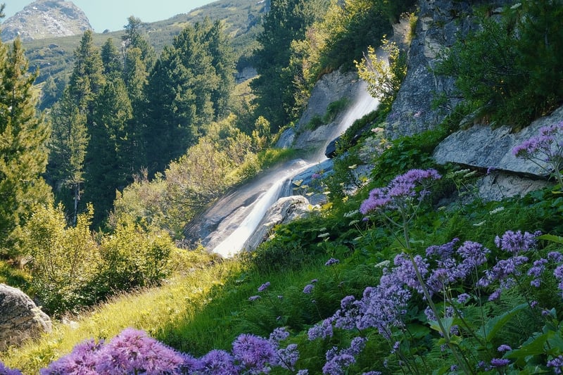 Hidden Waterfalls